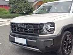2022 Haval Cool Dog 1.5T DCT 2WD, белый — фото 24