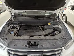 2021 Haval H6 1.5T AT Champion, белый — фото 20