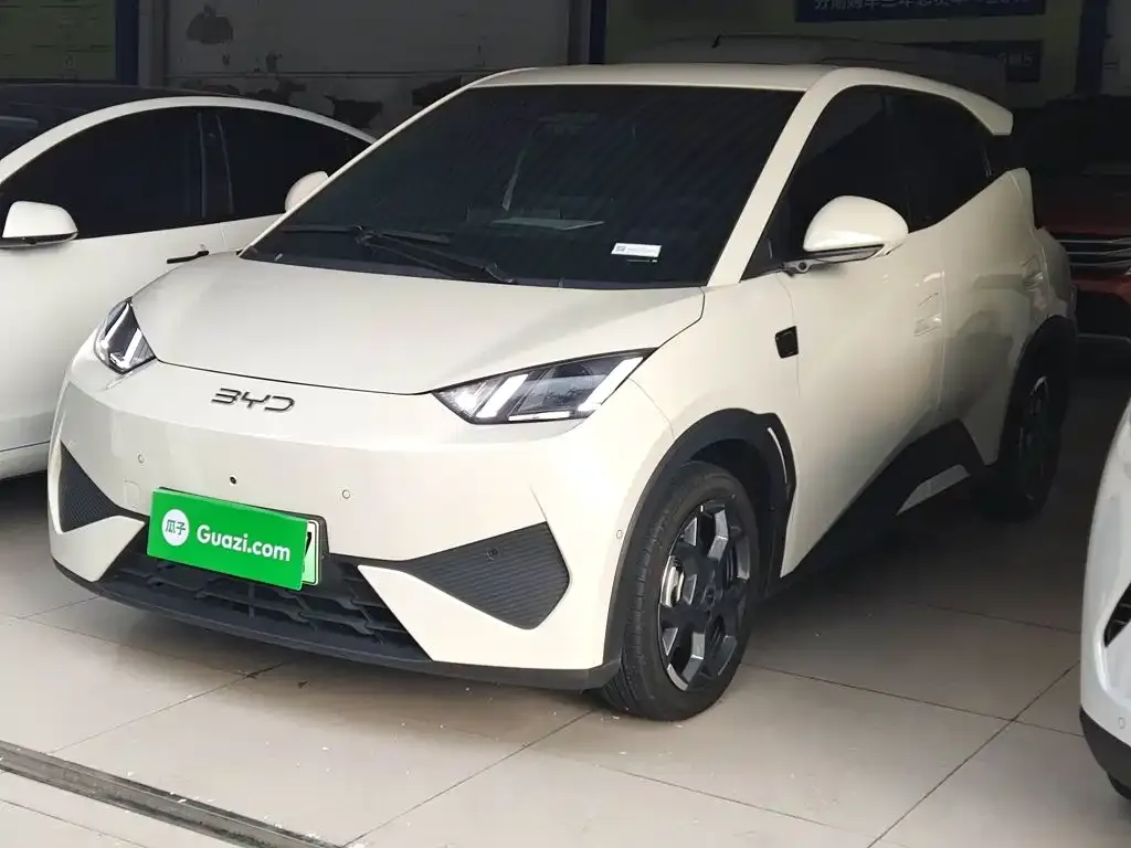 2025 BYD Seagull Smart Driving 305km Freedom