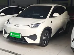 2025 BYD Seagull Smart Driving 305km Freedom, белый — фото 2