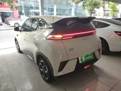 2025 BYD Seagull Smart Driving 305km Freedom, белый — фото 5