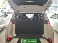 2025 BYD Seagull Smart Driving 305km Freedom, белый — фото 19