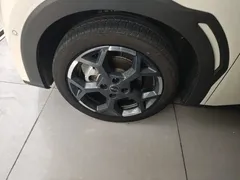 2025 BYD Seagull Smart Driving 305km Freedom, белый — фото 23