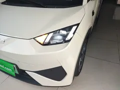 2025 BYD Seagull Smart Driving 305km Freedom, белый — фото 24