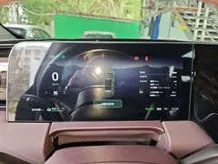 2023 Leapmotor C11 EV 500 Comfort — фото 12