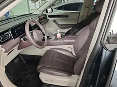 2023 Leapmotor C11 EV 500 Comfort — фото 15