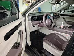 2023 Leapmotor C11 EV 500 Comfort — фото 16