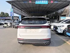 2021 Jetour X70 PLUS 1.5T DCT Shan PRO 7-seat, белый — фото 10