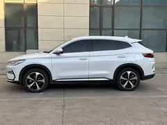 2021 BYD Song PLUS EV Premium, белый — фото 4