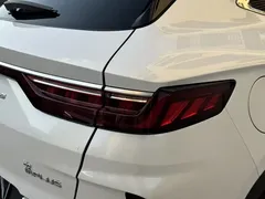 2021 BYD Song PLUS EV Premium, белый — фото 7