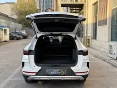 2021 BYD Song PLUS EV Premium, белый — фото 9