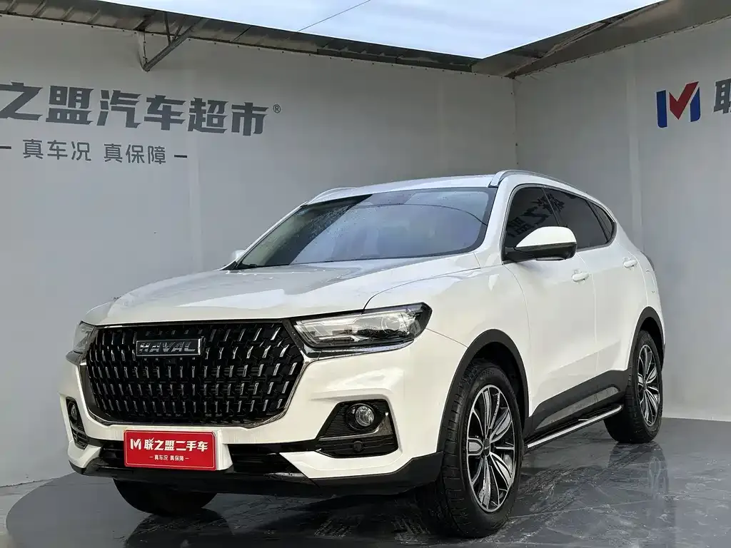 2023 Haval H6 1.5T AT Guochao Champion