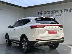 2023 Haval H6 1.5T AT Guochao Champion, белый — фото 5
