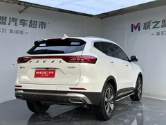 2023 Haval H6 1.5T AT Guochao Champion, белый — фото 6