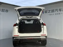 2023 Haval H6 1.5T AT Guochao Champion, белый — фото 28