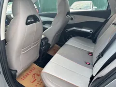 2023 BYD Yuan PLUS Champion 510km Leading — фото 4