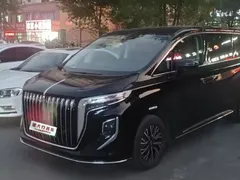 2024 Hongqi HQ9 2.0T Business — фото 1