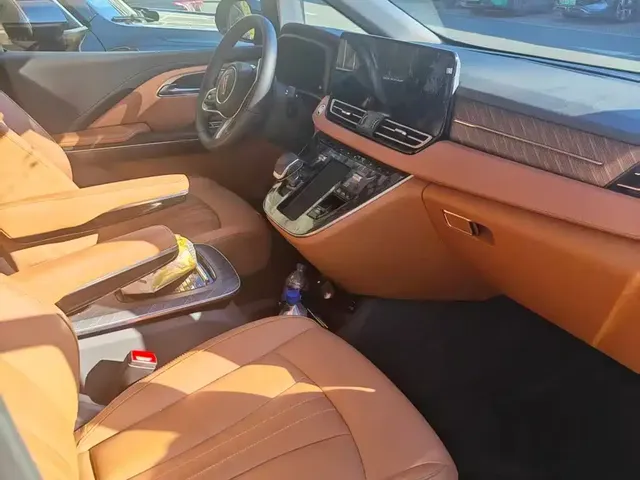 2024 Hongqi HQ9 2.0T Business