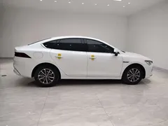 2023 BYD Qin PLUS Champion DM-i PHEV 55KM Leading, белый — фото 3