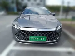 2023 BYD Qin PLUS Champion DM-i PHEV 55km Exceed — фото 2