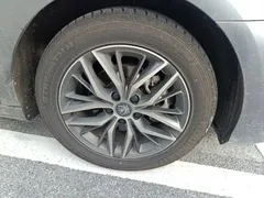 2023 BYD Qin PLUS Champion DM-i PHEV 55km Exceed — фото 25