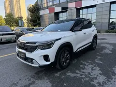 2023 Kia Seltos 1.5L CVT Luxury, белый — фото 1