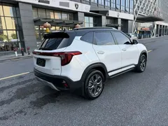2023 Kia Seltos 1.5L CVT Luxury, белый — фото 6