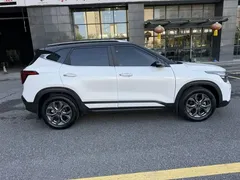 2023 Kia Seltos 1.5L CVT Luxury, белый — фото 7