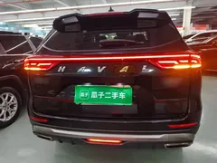 2021 Haval H6 1.5GDIT AT Guochao Champion, чёрный — фото 6