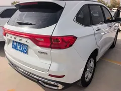 2021 Haval M6 Plus 1.5T DCT Elite, белый — фото 6