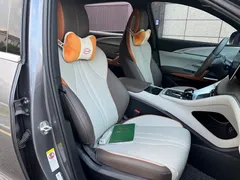 2022 BYD Song Pro DM-i PHEV 51km Premium — фото 18