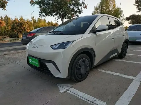 2025 BYD Seagull 305km Vitality