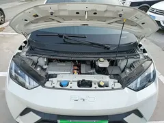 2025 BYD Seagull 305km Vitality, белый — фото 20