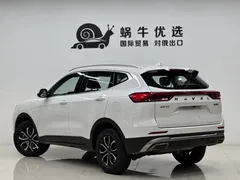 2021 Haval H6 1.5T AT Guochao Urban, белый — фото 4