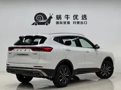 2021 Haval H6 1.5T AT Guochao Urban, белый — фото 6