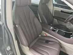 2023 Leapmotor C11 EV 500 Comfort — фото 20