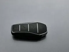 2025 BYD Sealion 06 DM-i PHEV 205 Pro — фото 19
