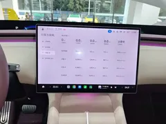 2025 Xiaomi YU7 RWD Long Range — фото 13