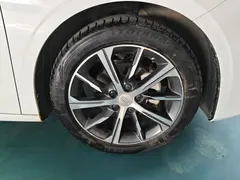 2023 Geely Emgrand 4th Gen Champion 1.5L CVT Premium, белый — фото 24