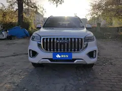 2022 Haval H9 2.0T 4WD Premium 5, белый — фото 2