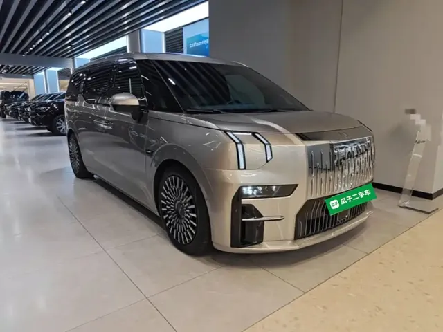 2022 Zeekr 009 WE