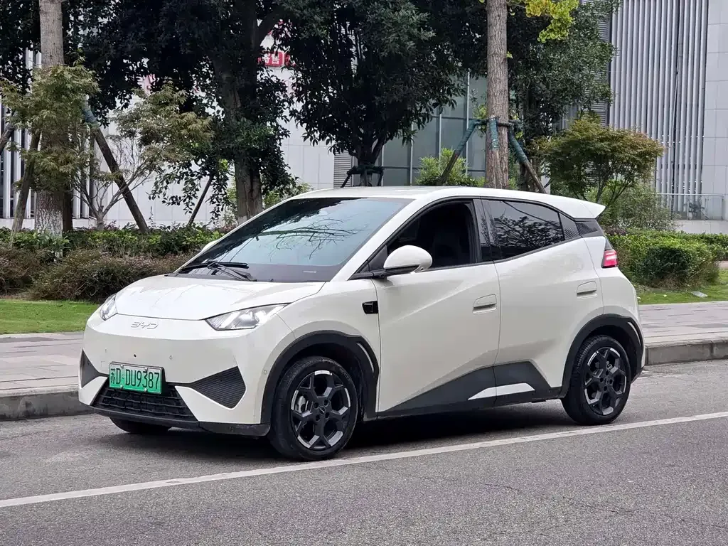 2025 BYD Seagull Smart Driving 305km Freedom