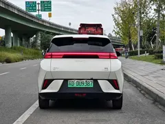 2025 BYD Seagull Smart Driving 305km Freedom, белый — фото 6