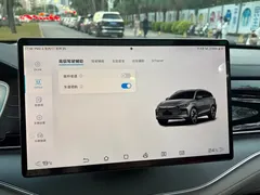 2022 BYD Tang DM-p PHEV 215KM 4WD Flagship, чёрный — фото 19
