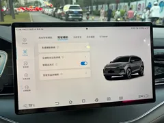 2022 BYD Tang DM-p PHEV 215KM 4WD Flagship, чёрный — фото 20
