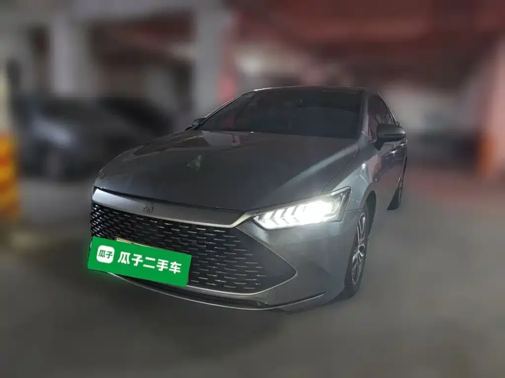 2021 BYD Qin PLUS DM-i PHEV 55km Flagship