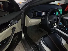 2021 BYD Qin PLUS DM-i PHEV 55km Flagship — фото 12