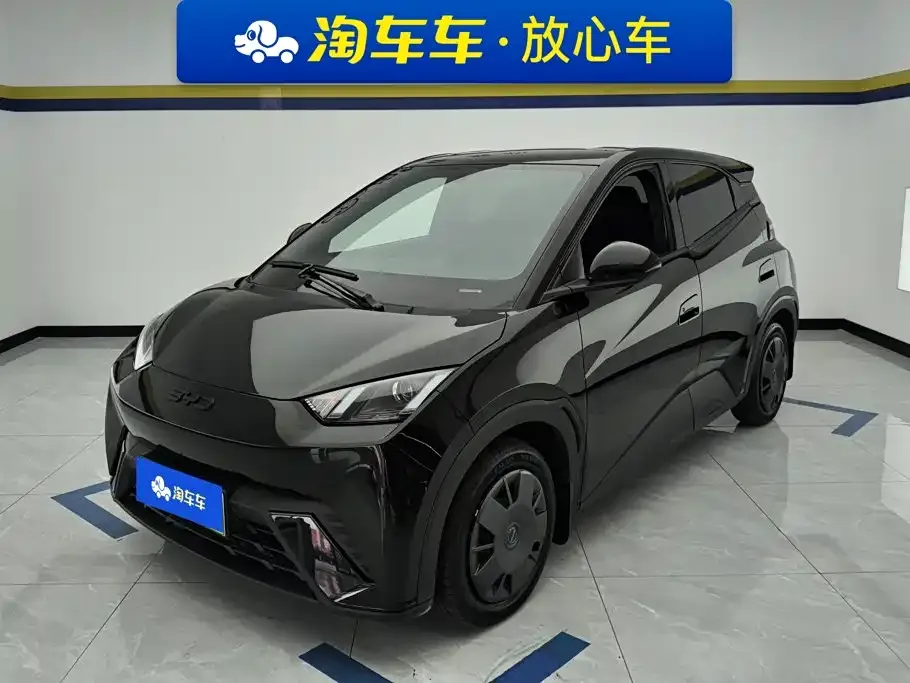 2024 BYD Seagull Honor 305km Vitality