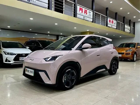 2024 BYD Seagull EV Glory 405km Flying