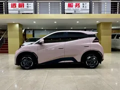 2024 BYD Seagull EV Glory 405km Flying — фото 2